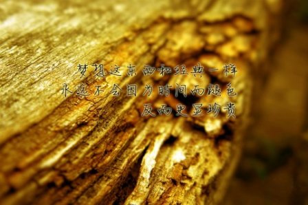 描写梦想句子