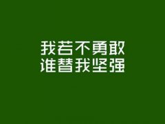 关于打不死的小强说说 打不死的小强励志词句