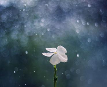 关于下雨天气的说说带图片