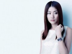 描写月季花的句子 形容月季花的优美句子