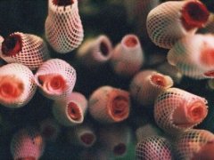 这世界没有公平的说说 不公平的句子说说心情