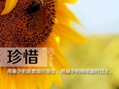 追剧搞笑说说心情短语 追剧的心情短语