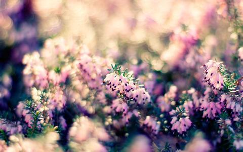 难以抉择的说说