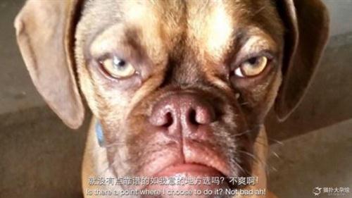 看我不爽的说说