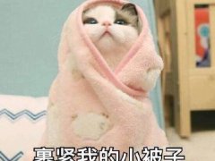 脑子被门夹了的说说 脑子被门挤的说说