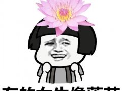 女人如花的经典句子 赞美女人如花的句子