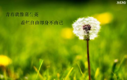 关于身不由己的经典句子