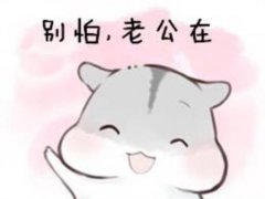爱老婆的说说 爱老婆的句子