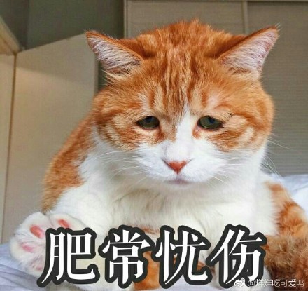 上班打瞌睡的说说