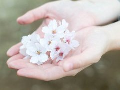 不上qq的说说 关于退qq的说说怎么写