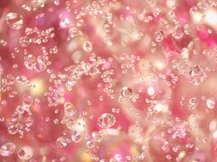 关于夕阳红的句子 赞美夕阳红老人的句子
