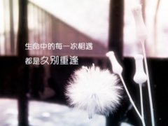 关于生命脆弱的伤感句子