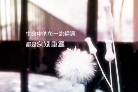 关于生命脆弱的伤感句子