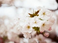 同情心的说说 同情心泛滥的说说