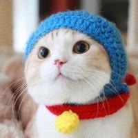 呆萌小猫咪可爱头像