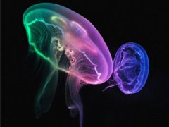 关于命运的经典句子 命运有关的经典语录