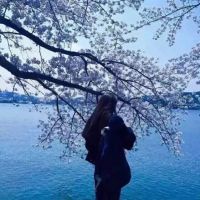 森系女生背影头像