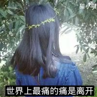 森系女生背影头像