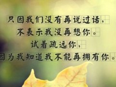 关于节日的经典句子 描写节日的句子