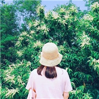 女生头像上半身背影