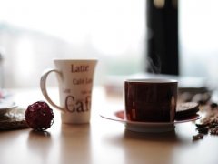 关于品茶的句子 品茶的精美句子