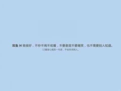 世界上最高冷的表白说说