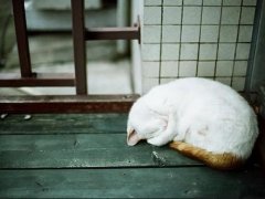 关于后来的句子 关于后来的伤感句子
