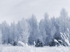 描写冬天的景色好句子_描写冬天悲景的句子