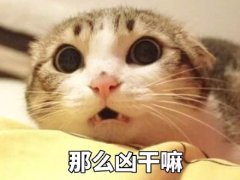 进了男厕所说说 进男厕所的搞笑说说