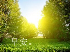 早上一条正能量句子_早上正能量的句子