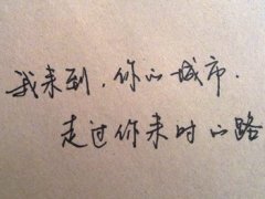我来到你的城市,走过你来时的路!