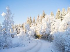 关于第一场雪的说说 第一场雪的说说开心