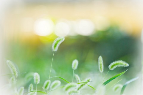 人在囧途之泰囧经典语句