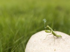 戒烟难受的说说 微信说说关于戒烟的