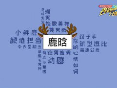 带一个宝字的男生网名