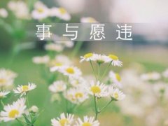 关于事与愿违的句子 事与愿违的的经典语录