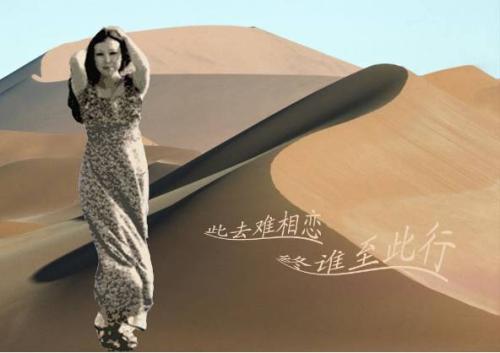 三毛励志的句子