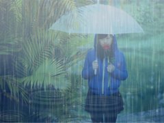 关于执着的优美句子 有关执着的句子