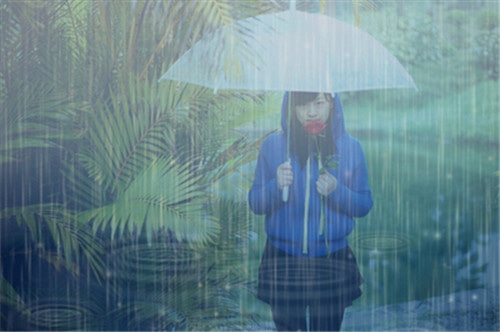 关于执着的优美句子