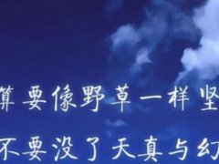 励志的鸡汤句子 鸡汤励志句子