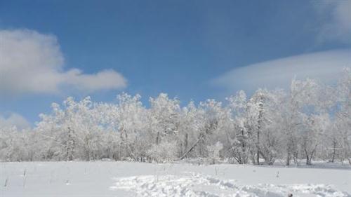 打雪仗堆雪人说说