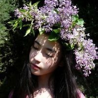 全世界最美丽的女生头像