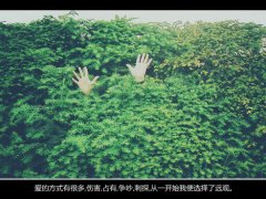 离婚最伤感的句子_形容离婚悲伤的句子