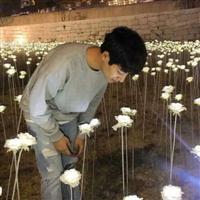短发男生魅力头像