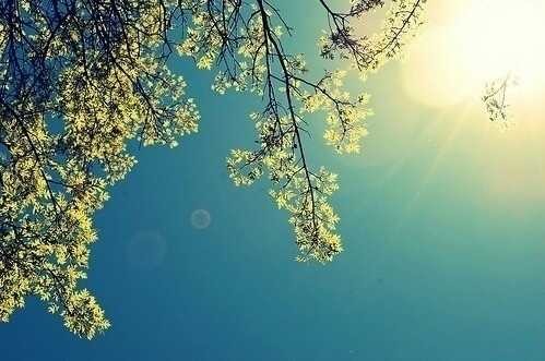 写给班级的一句话
