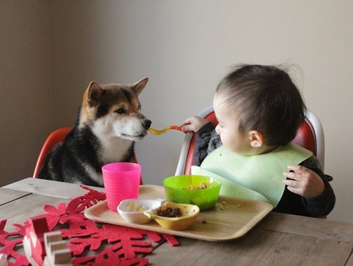 微信小孩子可爱昵称