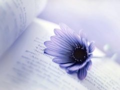 分手后心痛伤感的句子说说心情