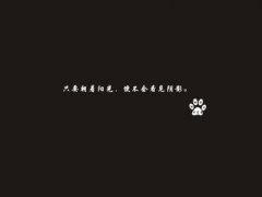 生活感悟的句子正能量 正能量的句子经典语句