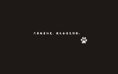 生活感悟的句子正能量