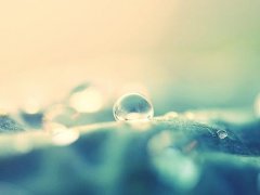 跟雨有关的伤感句子 雨天伤感的句子